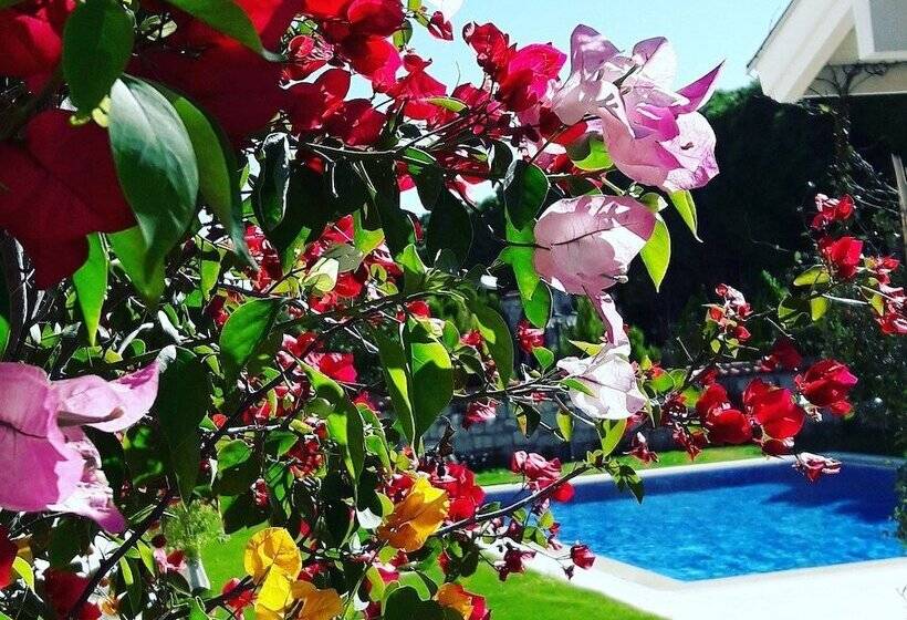 فندق Salbakos Herakleia Boutique