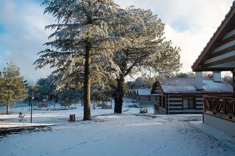 ホテル Spil Dagi Orman Köskleri