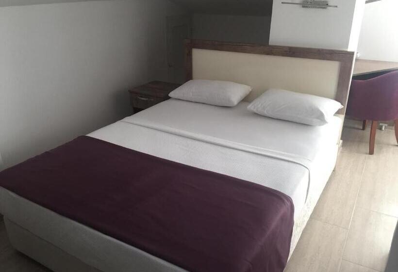 בית מלון כפרי Udi