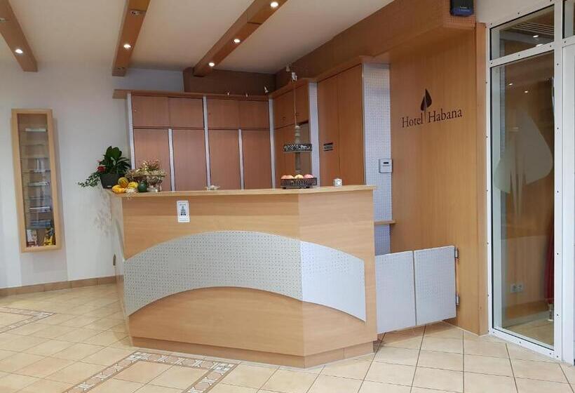 호텔 Habana