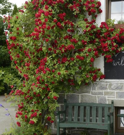 Kräuterpension Säumerpfad