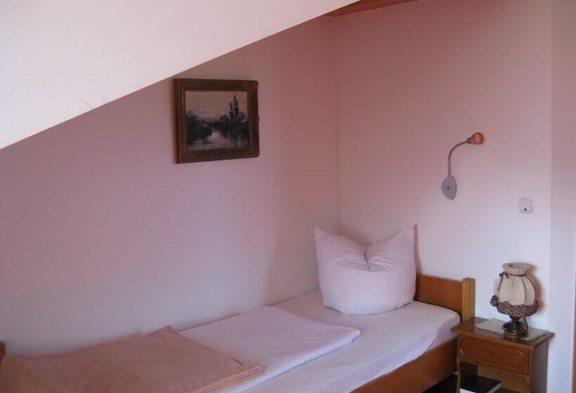 펜션 Alpenhotel Allgäu