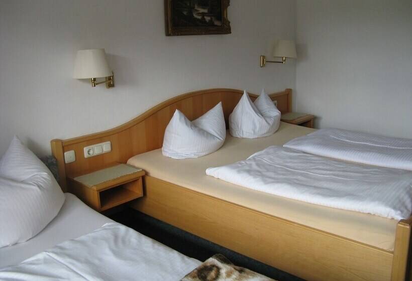 펜션 Alpenhotel Allgäu