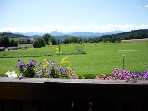 ペンション Landhaus Lassnig