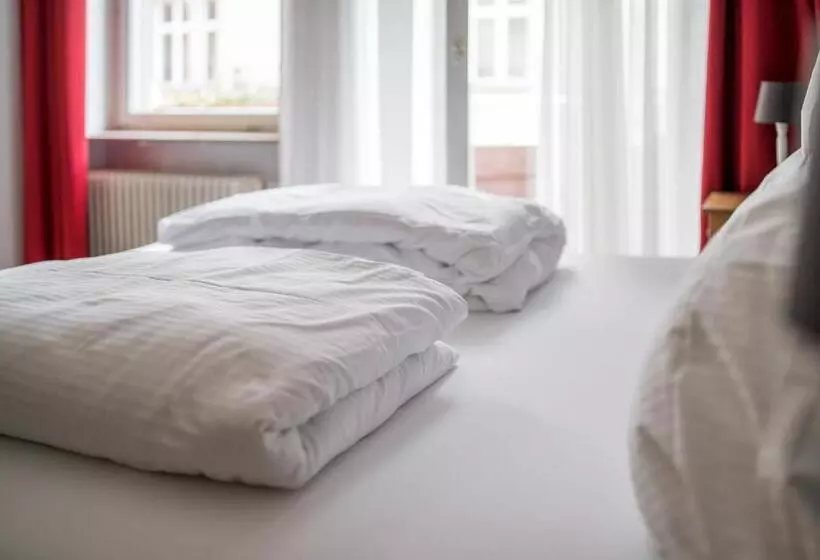 پانسیون The Dubliner Hotel & Irish Pub