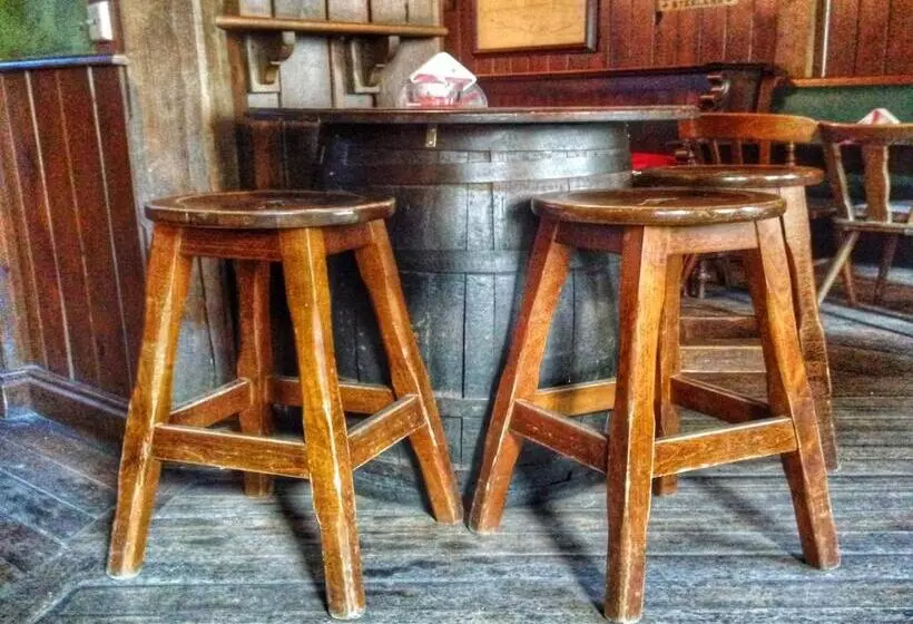 پانسیون The Dubliner Hotel & Irish Pub