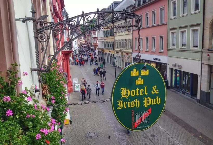 پانسیون The Dubliner Hotel & Irish Pub