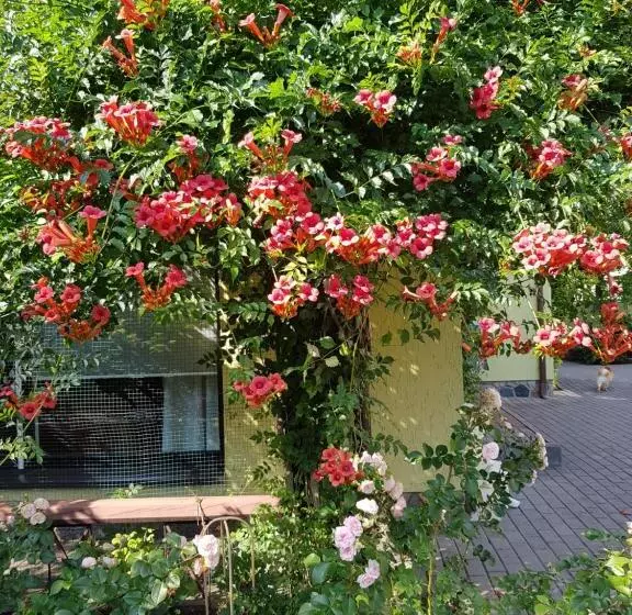 پانسیون Vila Florena Garden