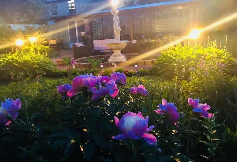 پانسیون Vila Florena Garden