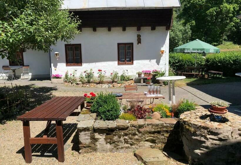 Pension Untere Rauner Muehle