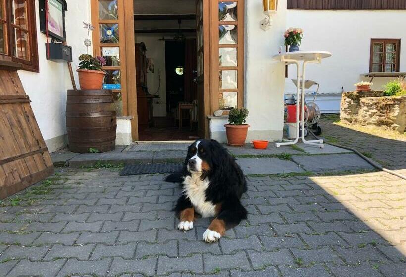 Pension Untere Rauner Muehle