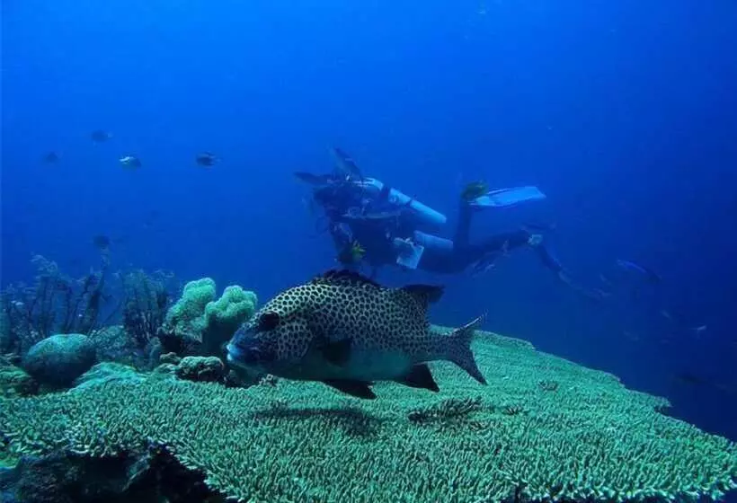 Wakatobi Patuno Resort By Sahid