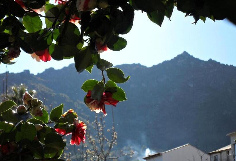 הוסטל Casa Das Obras