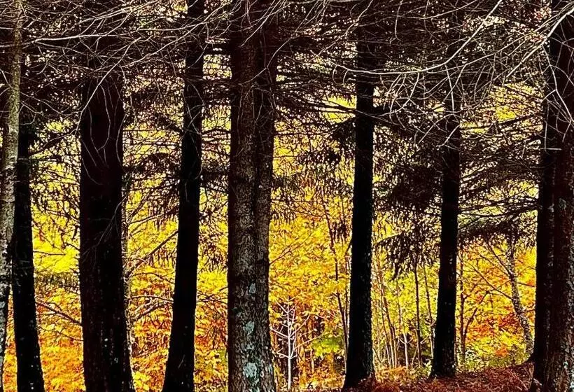 Retkeilymaja Casa Das Obras