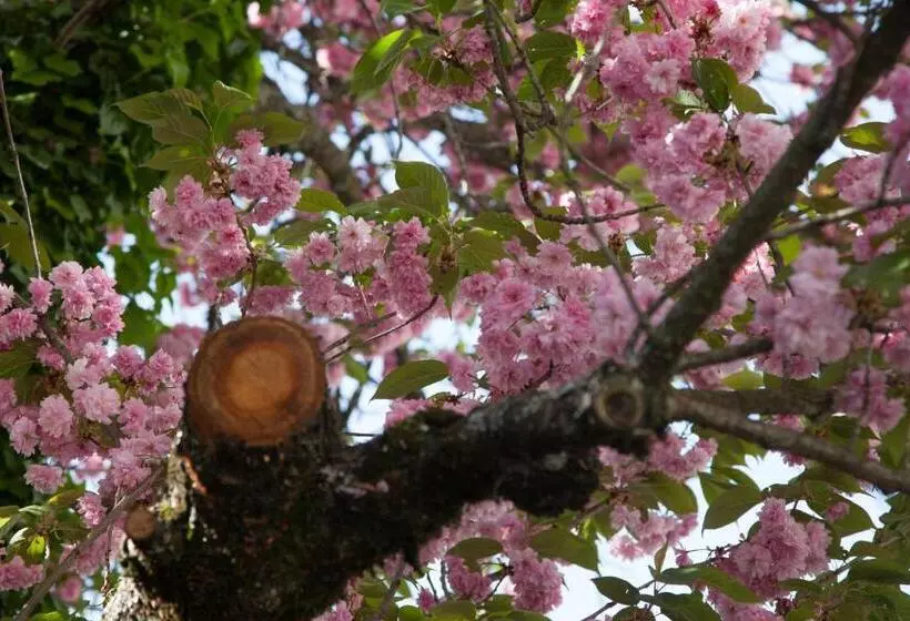 Retkeilymaja Casa Das Obras