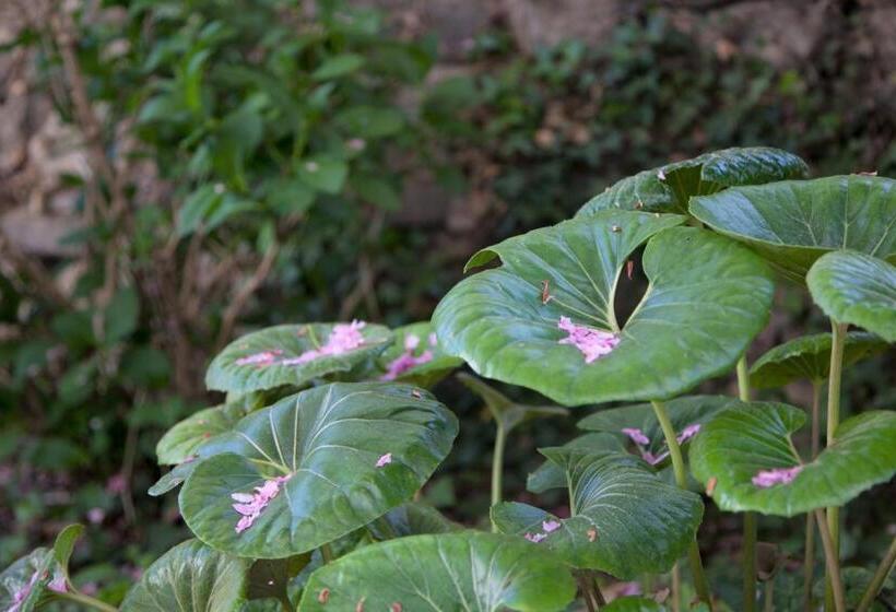 הוסטל Casa Das Obras