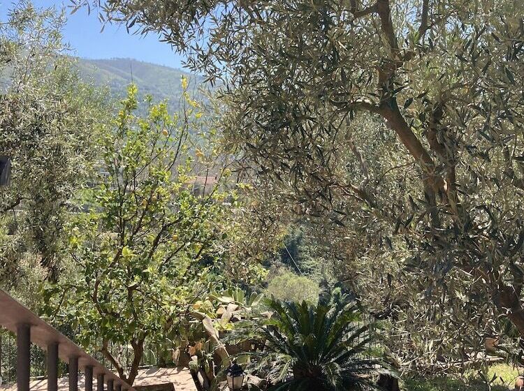 Отель Agriturismo Nonno Luigino