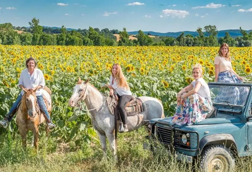 ホテル Agriturismo Pieve Sprenna