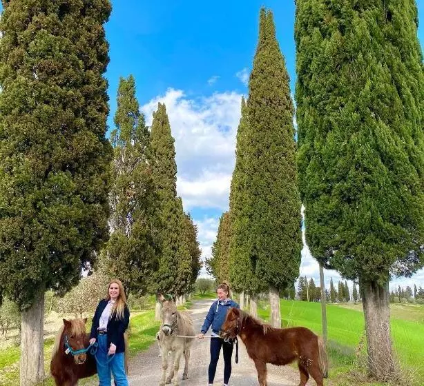ホテル Agriturismo Pieve Sprenna