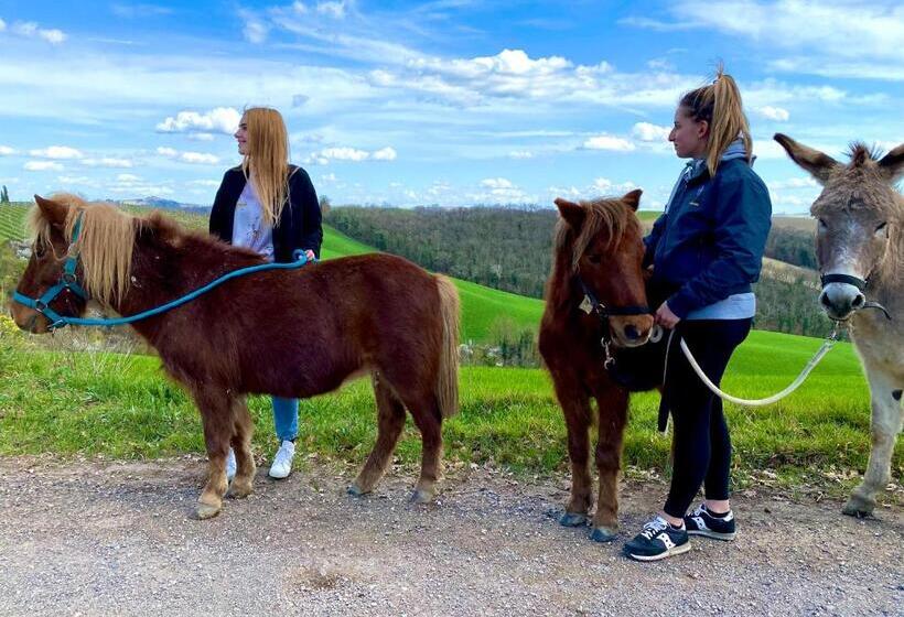 בית מלון כפרי Agriturismo Pieve Sprenna