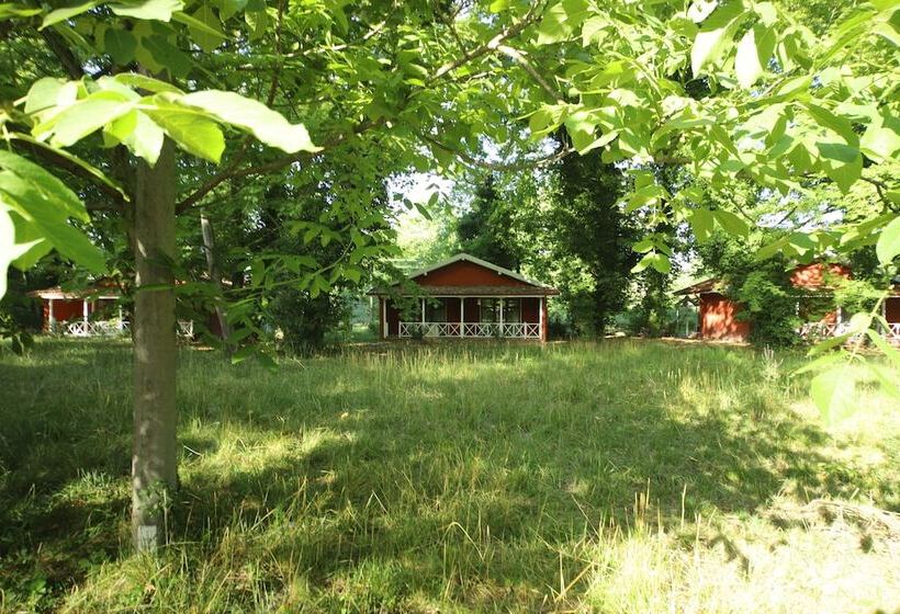 酒店 Filyos Ecopark