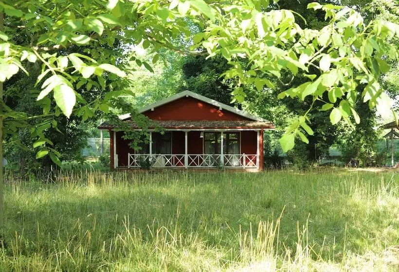 ホテル Filyos Ecopark