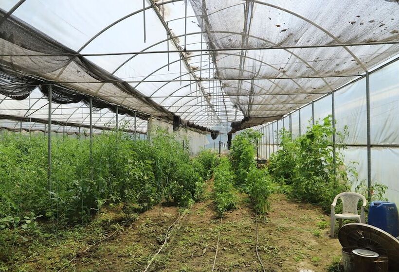 酒店 Filyos Ecopark