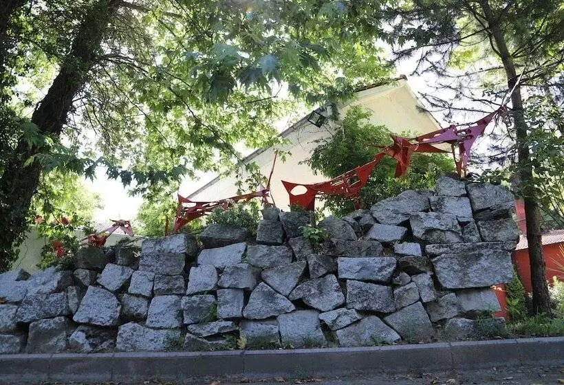 ホテル Filyos Ecopark