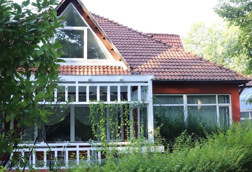 酒店 Filyos Ecopark