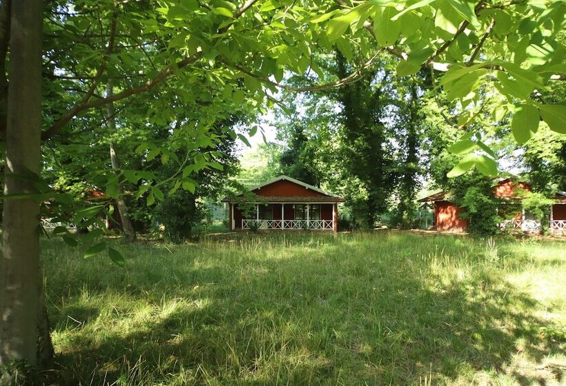 酒店 Filyos Ecopark