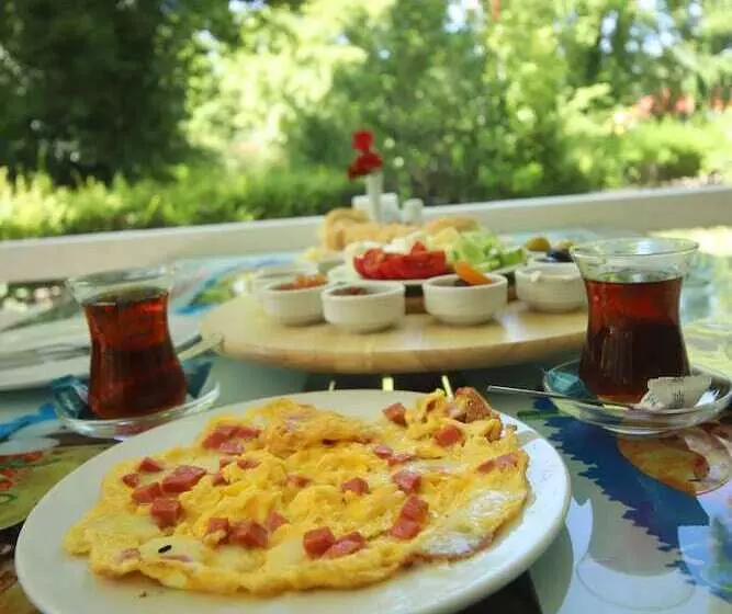 ホテル Filyos Ecopark