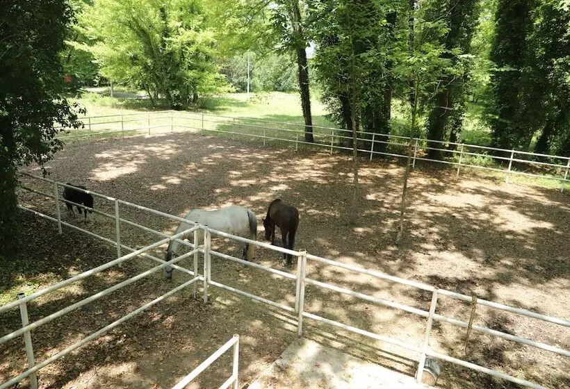 ホテル Filyos Ecopark