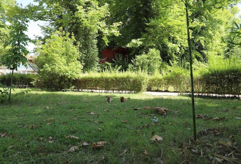 酒店 Filyos Ecopark