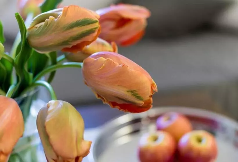 Majatalo Gasthof Blaue Quelle