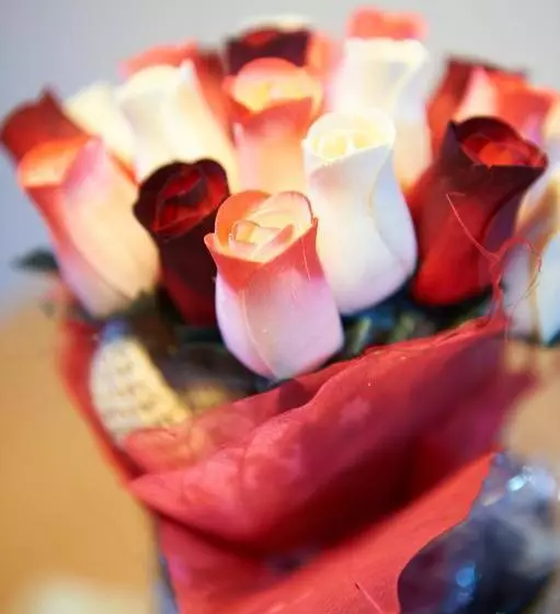 Majatalo Gästehaus Emmi