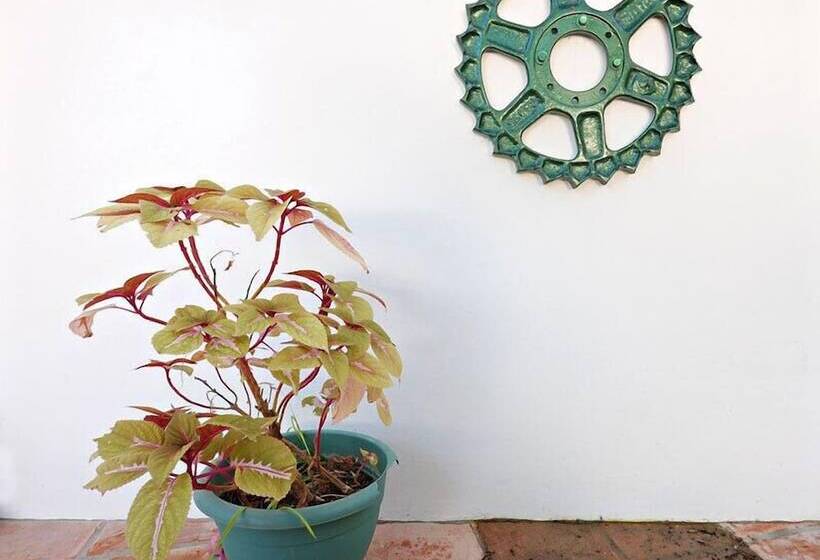 پانسیون Hostal La Posada