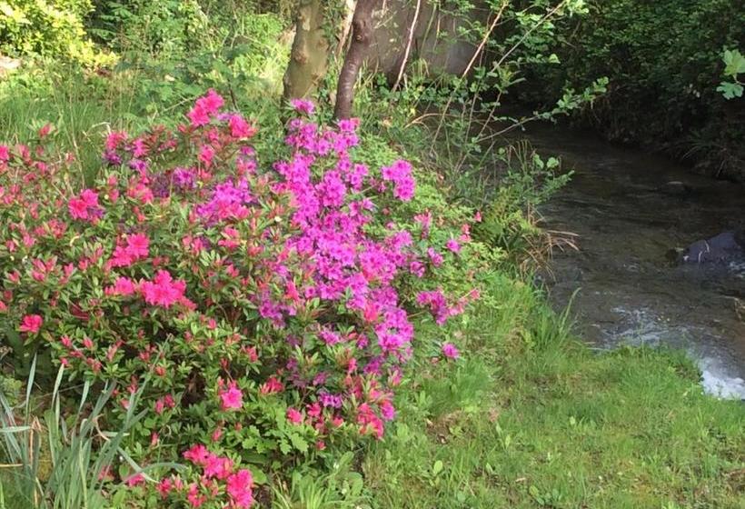 Пансион Maison D Hôtes Uhaldia