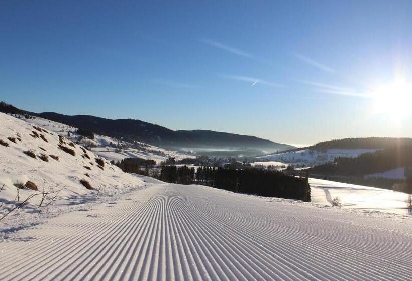 Пансион Naturparkhotel Schwarzwaldhaus