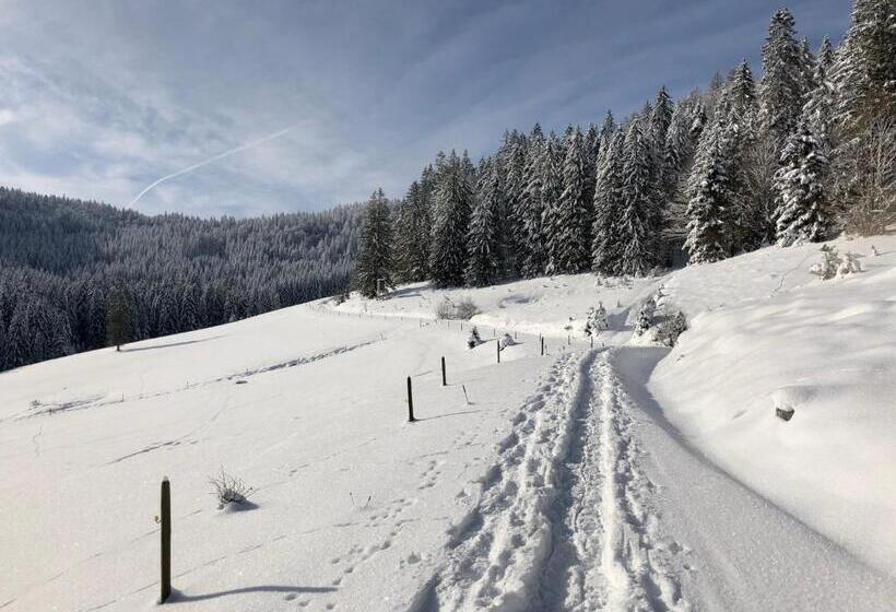 Пансион Naturparkhotel Schwarzwaldhaus