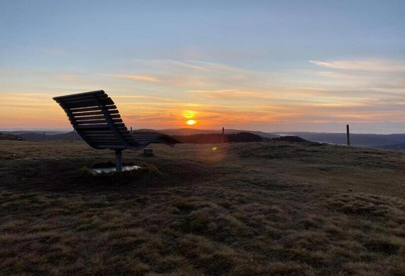 Пансион Naturparkhotel Schwarzwaldhaus