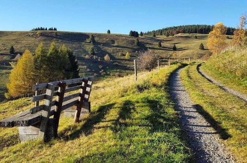 Пансион Naturparkhotel Schwarzwaldhaus