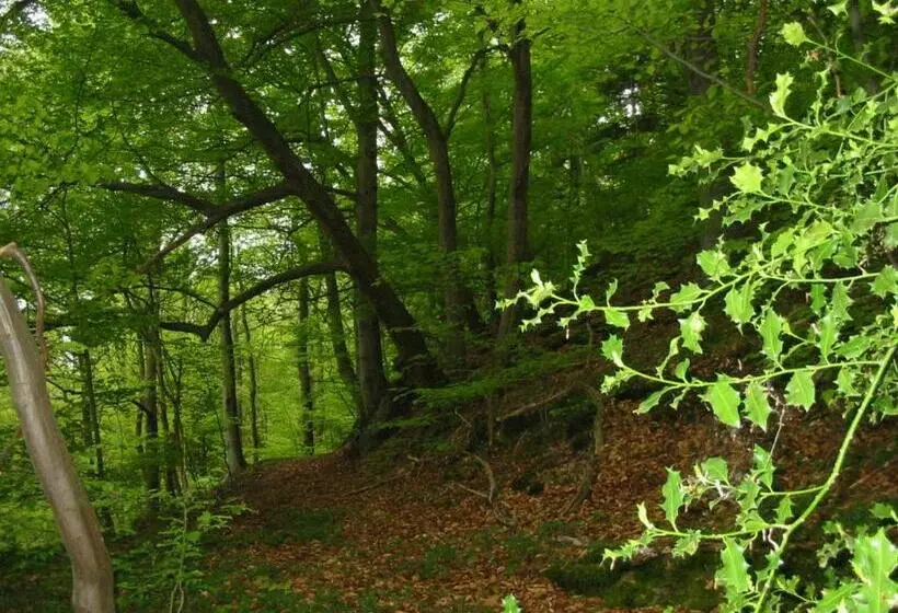 پانسیون New Castle