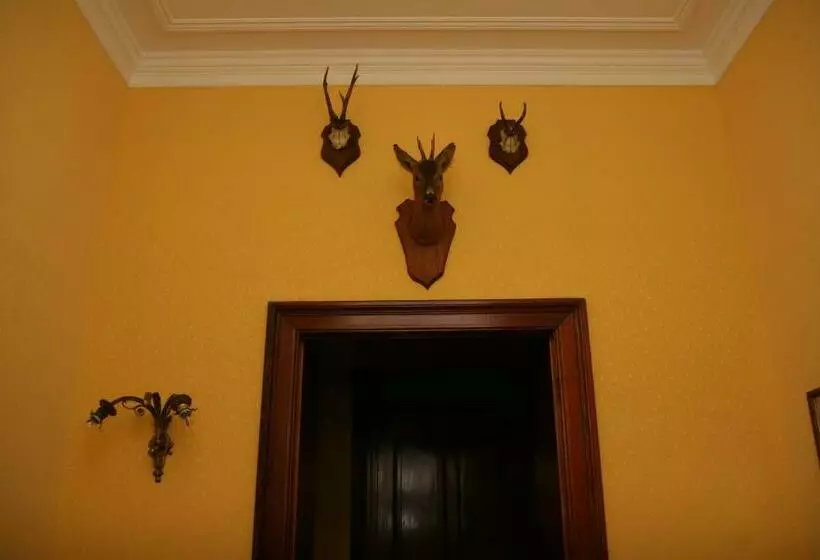 پانسیون New Castle