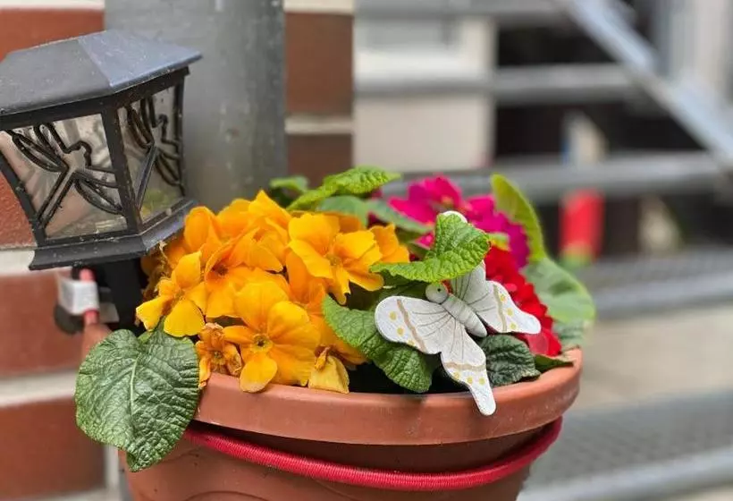 Pension Zum Blümchen