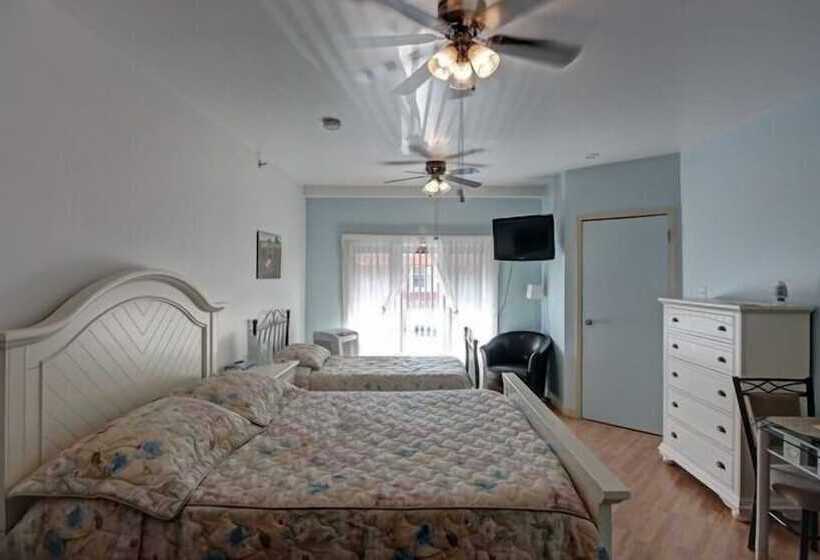 ユースホステル Auberge La Veranda