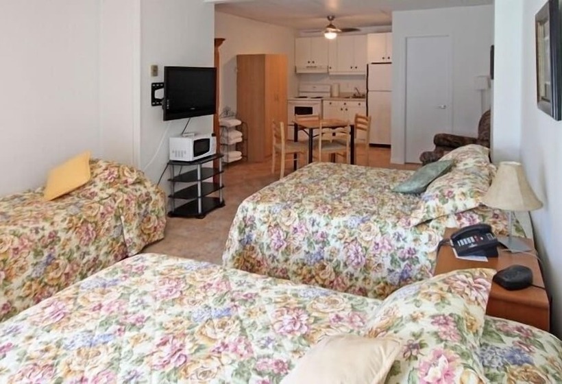 ユースホステル Auberge La Veranda