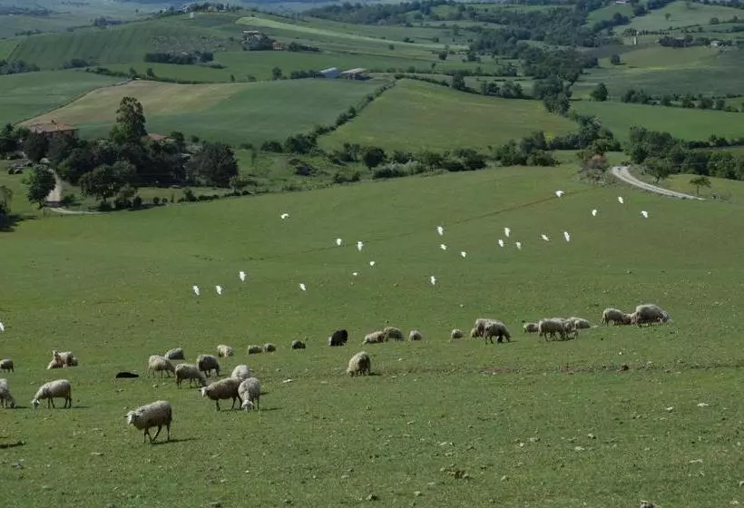 Hotelli Agriturismo Bio Aia Della Colonna