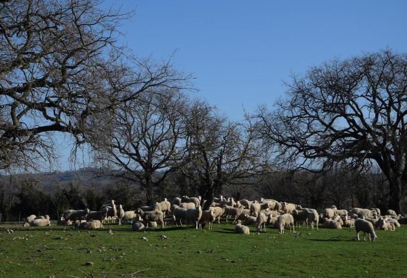 Отель Agriturismo Bio Aia Della Colonna