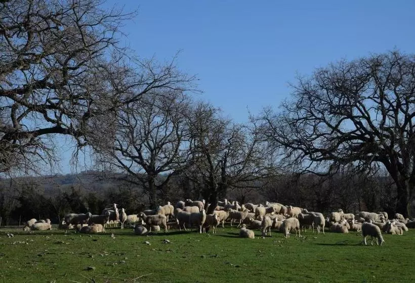 Hotelli Agriturismo Bio Aia Della Colonna