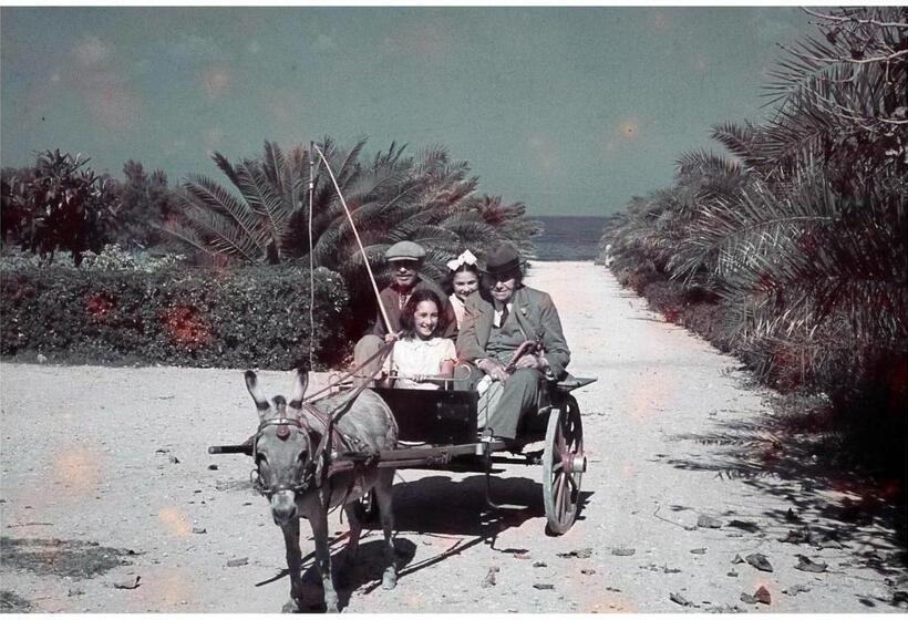 בית מלון כפרי Azienda Agrituristica Tenuta Pizzolungo